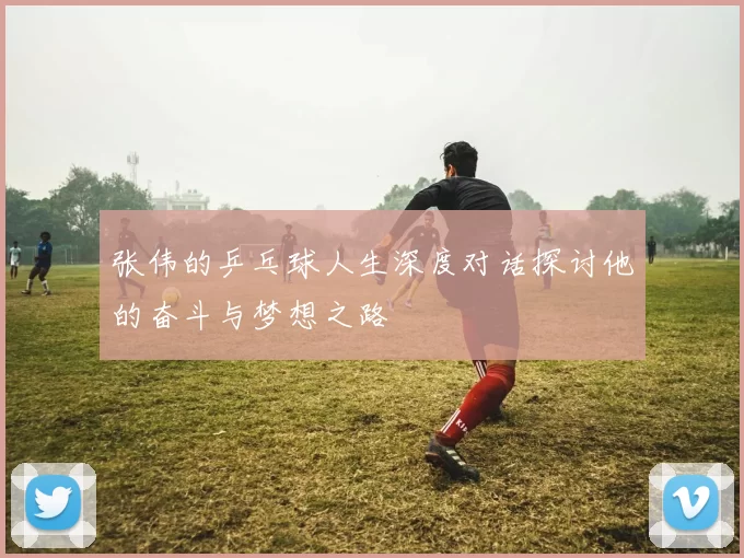 张伟的乒乓球人生深度对话探讨他的奋斗与梦想之路