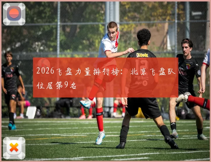 2026飞盘力量排行榜：北京飞盘队位居第9名