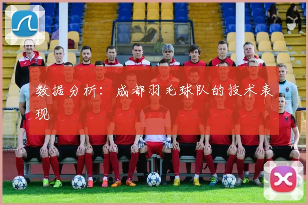 数据分析：成都羽毛球队的技术表现