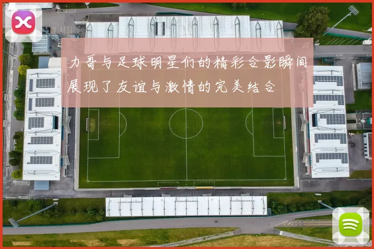 力哥与足球明星们的精彩合影瞬间展现了友谊与激情的完美结合