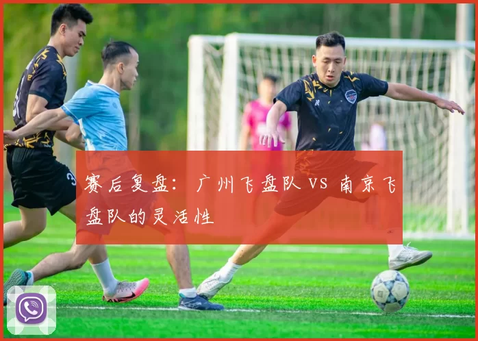 赛后复盘：广州飞盘队 vs 南京飞盘队的灵活性